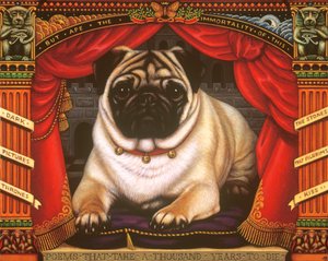 Nabokovs Mops von Frances Broomfield