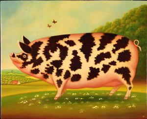 Old Spot Schwein, 1998 von Frances Broomfield