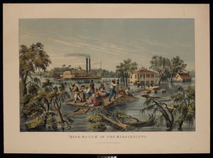 Hochwasser im Mississippi von Frances Flora Bond (c.1812 76) Palmer