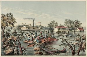 Hochwasser im Mississippi, veröffentlicht 1868 von Frances Flora Bond Palmer