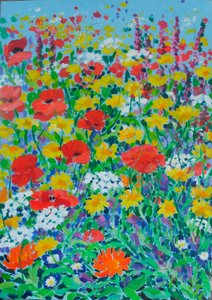 Wildblumenwiese, 2024