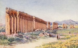 Das Aquädukt von Karthago von Frances Nesbitt