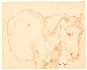 Ein Pferd von Francesco Fernandi