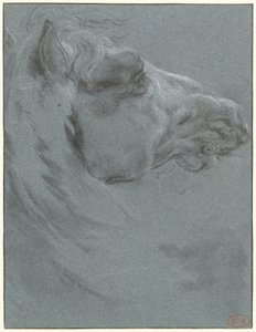 Kopf eines Pferdes von Francesco Giuseppe Casanova