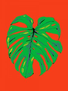 Lebhaftes Monstera-Blatt von Francesco Gulina