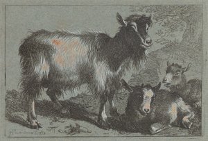 Ziege und zwei Kitze von Francesco Londonio