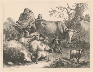Hirte mit Umhang treibt eine Herde