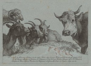 Studie von Köpfen: Drei Ziegen, ein Ochse und ein Widder, veröffentlicht ca. 1783 von Francesco Londonio