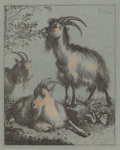 Drei Ziegen, 1758