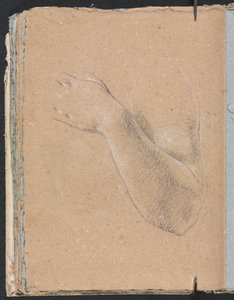 Verona Skizzenbuch: Linker Arm und Hand (Seite 46)