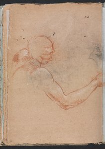 Verona Skizzenbuch: Akt mit Kopf und rechtem Arm Seite 36, 1760 von Francesco Lorenzi