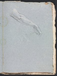 Verona-Skizzenbuch: Rechter Arm und Hand, Seite 95 von Francesco Lorenzi