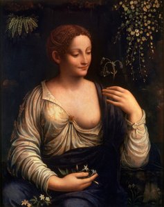 Flora, ca. 1510-1515
