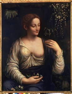 Flora von Francesco Melzi or Melzo