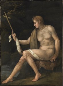 Johannes der Täufer in der Wüste von Francesco Ubertini Bacchiacca