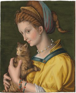 Porträt einer jungen Dame mit einer Katze von Francesco Ubertini Verdi Bachiacca