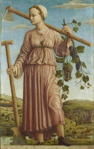 Die Muse Polyhymnia von Francesco del Cossa