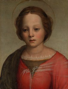 Kopf der Madonna, ca. 1509