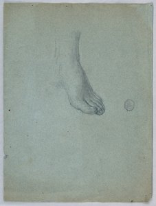 Studie des linken Fußes