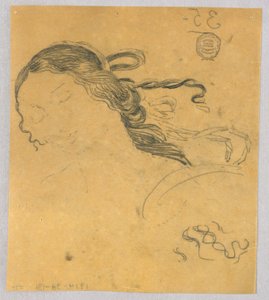 Studie des Frauenhaars