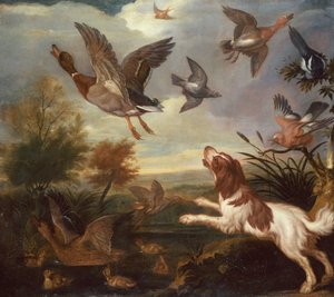 Ein Spaniel treibt Stockenten auf