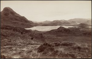 Arthog, Creigenen-See von Francis Bedford