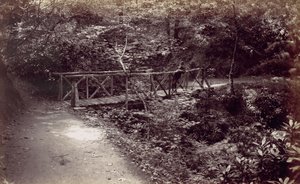 Colwyn Bay. Rustikale Brücke im Wald, 1870er Jahre