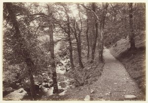 Dolgelley, Ansicht im Torrent Walk