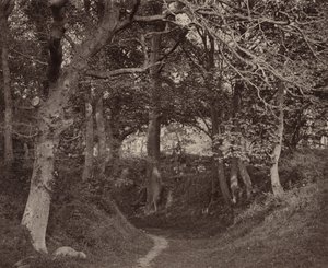 Glen Kenilworth, um 1868 von Francis Bedford