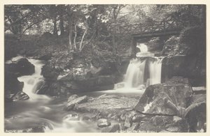 Glen Lyn, die rustikale Brücke, 1860-94