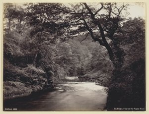 Ivy Bridge, Blick auf den Prysor-Fluss von Francis Bedford