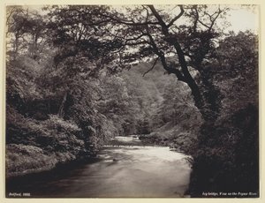 Ivy Bridge, Blick auf den Prysor River, 1860 von Francis Bedford