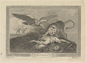 Kopf & Gliedmaßen