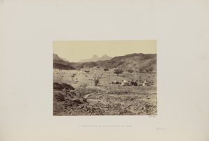 Ein Lagerplatz in der Wüste Sinai von Francis Frith