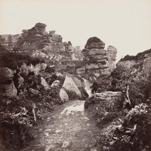 Brimham Rocks, Yorkshire