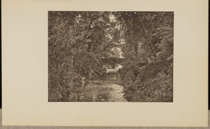 Am Fluss Taunton