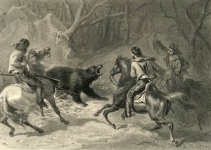 Einheimische Kalifornier fangen einen Bären mit dem Lasso, 1874