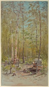 Birken von Francis Hopkinson Smith