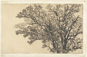 Krone eines Baumes von Francis Seymour Haden (Sir) (signed by artist)