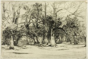 Ein Nebenweg in Tipperary von Francis Seymour Haden
