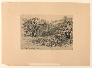 Ein Flussufer in Devon