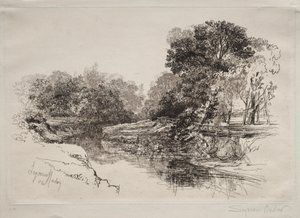 Ein Fluss in Irland von Francis Seymour Haden
