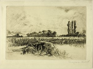 Eine Wasserwiese von Francis Seymour Haden