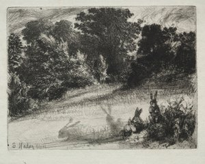 Combe Bottom von Francis Seymour Haden