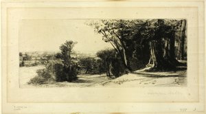 Früher Morgen, Richmond Park von Francis Seymour Haden