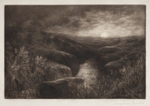 Heimat der Mücke von Francis Seymour Haden