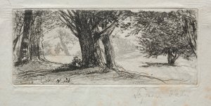 Stechpalmenfeld von Francis Seymour Haden