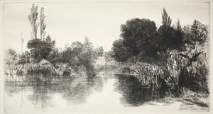 Shere Mill Pond (Die größere Platte)