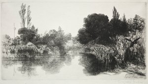 Shere Mill Pond, Nr. 11 Die große Platte, 1860 und später von Francis Seymour Haden