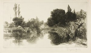 Shere Mill Pond, Nr. II (große Platte) von Francis Seymour Haden
